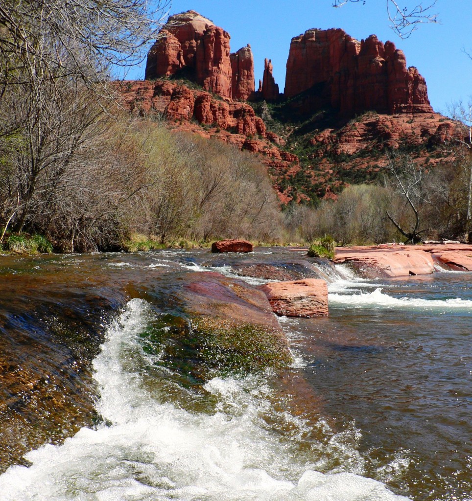 Lower Oak Creek Iba Arizona Important Bird Areas Program 0660