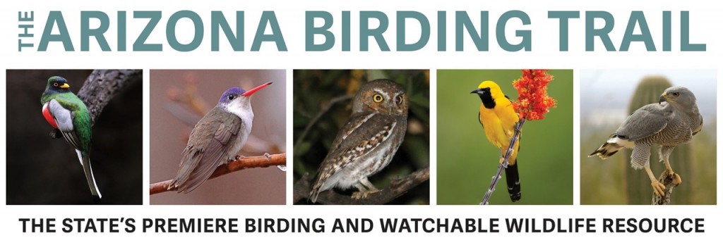 AZ Birding Trail header