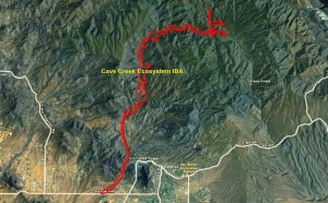 Cave Creek Ecosystem IBA GIS Map