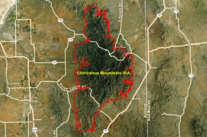 Chiricahua Mountains IBA GIS Map