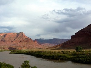 Colorado River Gadsden Riparian Area