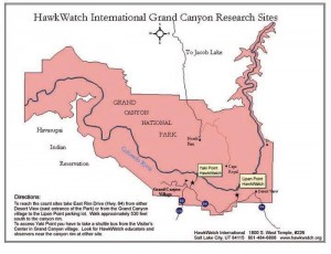 Grand Canyon NP Hawk Points