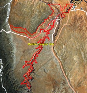 Marble Canyon IBA GIS Map