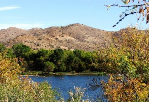 Sonoita Creek State Natural Area/Patagonia Lake IBA - Arizona 