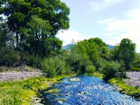 Patagonia Sonoita Creek