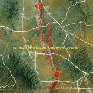 San Pedro River National Conservation Area IBA GIS Map