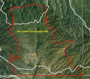 San Rafael Grasslands IBA GIS Map