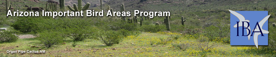 Arizona Important Bird Areas Program