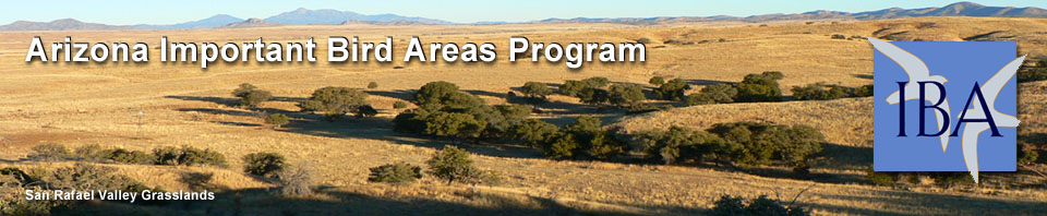 Arizona Important Bird Areas Program