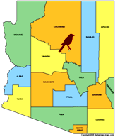 Anderson Mesa - Bird on Map