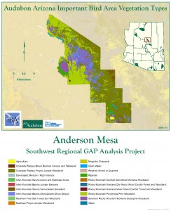 Anderson Mesa IBA Vegetation Analysis