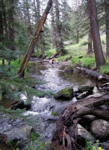 Little Colorado by Matt Grant