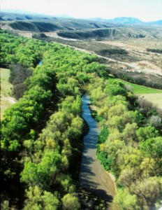 Santa Cruz River S. of Tumacacori, 2, 3-05, john hoffman