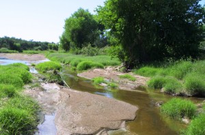 Upper Santa Cruz River