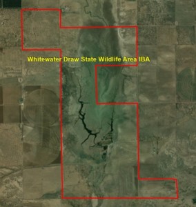 Whitewater Draw SWA IBA GIS Map
