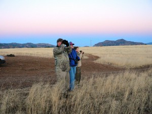 crew looking for short-eared owls