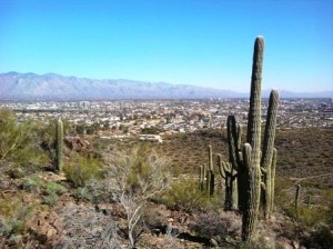 View of Tucson from Tumamoc