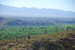 View of the San Pedro River from the Uplands