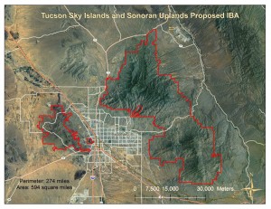 Tucson Sky Islands and Sonoran Uplands Proposed IBA - imagery