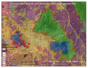 Tucson Sky Islands and Sonoran Uplands Proposed IBA - ownership