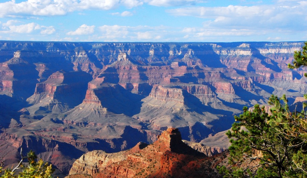 Grand Canyon NP Global Important Bird Area