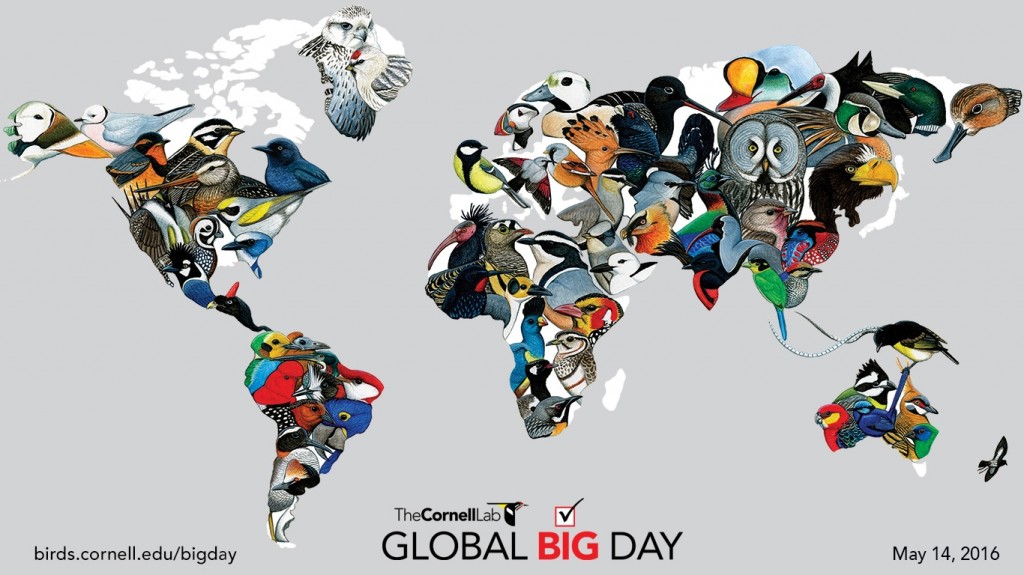 Cornell_Lab_Global_Big_Day_Map-1366x768