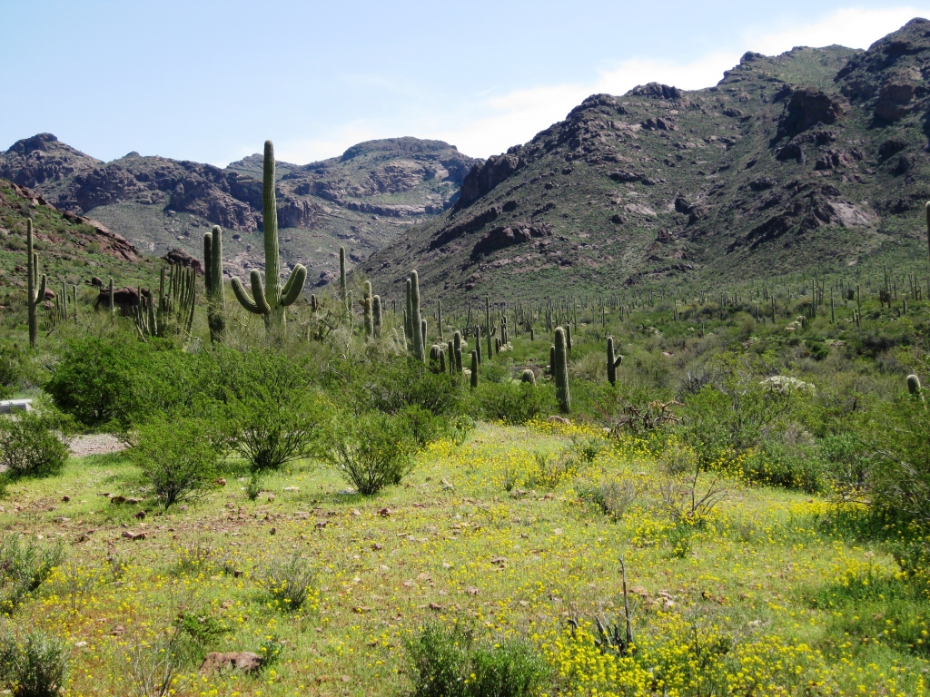 Assessing Climate Change - Friends of Saguaro National Park