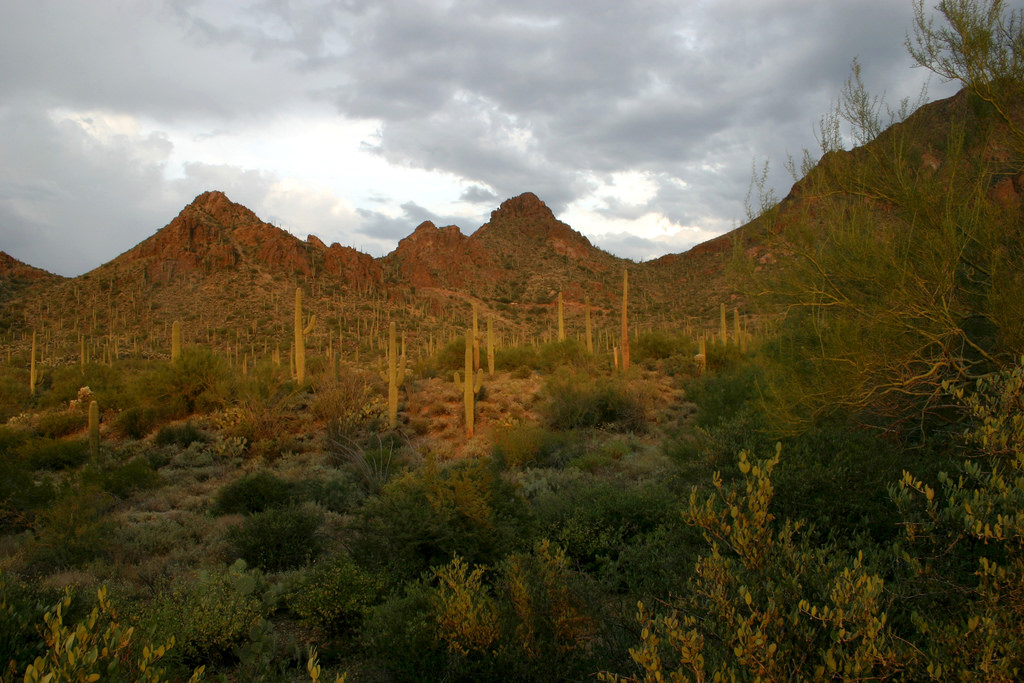Tucson Mountains by Derek DeVries