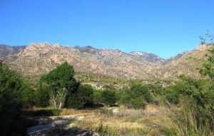 Catalina State Park by Charles Miles.