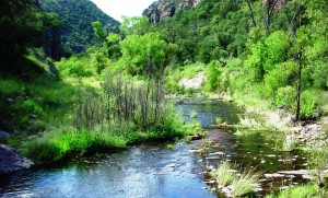 Sycamore Canyon creek by Kendall Kroesen