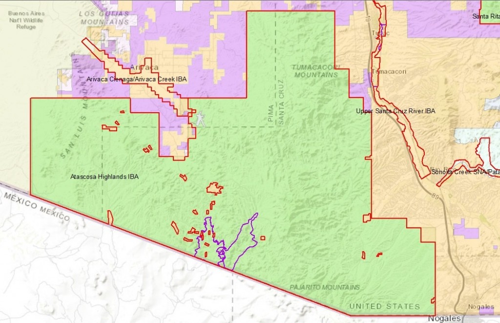 Map of Atascosas IBA ownership in Red outline with California Gulch and Sycamore Canyons in purple