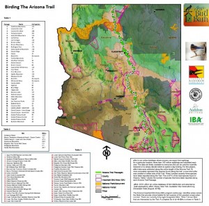 Birding the Arizona Trail - screen shot of map