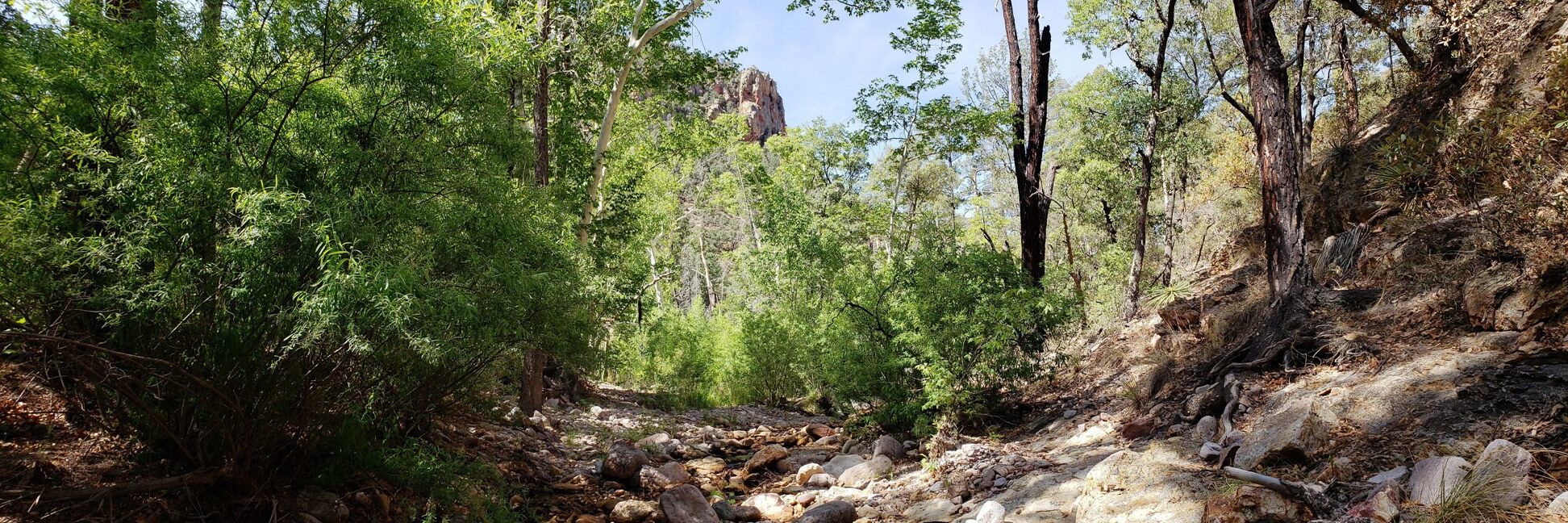 South Fork of Cave Creek by Jennie MacFarland