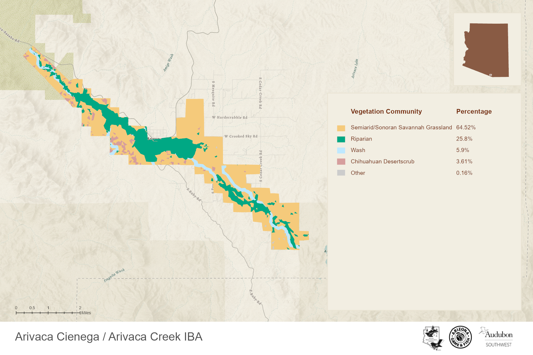 Arivaca Cienega And Creek Iba Arizona Important Bird Areas Program 8353